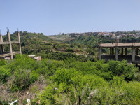 terrain-vente-alger-beni-messous-algerie