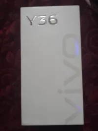 Vivo Vivo y36