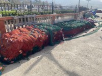 أدوات-أخرى-filet-de-peche-espadon-شباك-الصيد-تيقزيرت-تيزي-وزو-الجزائر