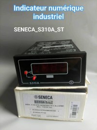 Indicateur numérique industriel