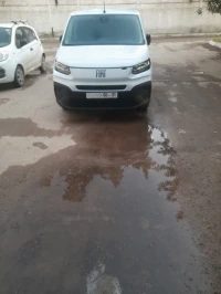 Fiat دبلو جزائرية 2024 