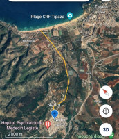 appartement-location-f3-tipaza-nador-algerie