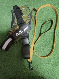 Pack harnais para militaire plus laisse double poignée 
