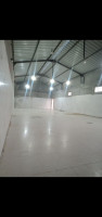 hangar-location-setif-ouled-sabor-algerie