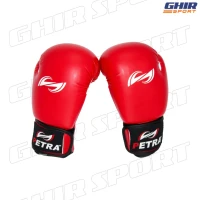 GANTS DE BOXE PETRA PS-799
