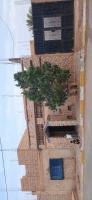 immeuble-cherche-achat-bechar-lahmar-algerie