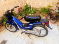 motos-scooters-fox-peugeot-1999-el-kantara-biskra-algerie