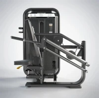 Seated Dip (Presse Triceps Assis)