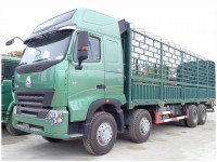 camion-sinotruk-howo-8x4-heavy-cargo-truck-2024-dar-el-beida-alger-algerie