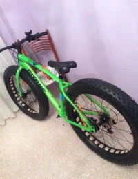 vélo gitane 