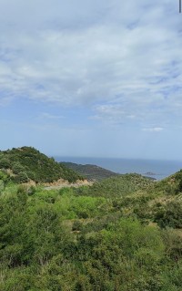 أرض-بيع-بجاية-الجزائر