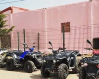 Vms linhai Quad 150 2022