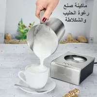 Mousseur à Lait Inox 600 Watt