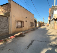 terrain-location-alger-tessala-el-merdja-algerie