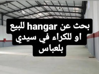 hangar-cherche-achat-sidi-bel-abbes-algerie