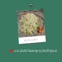 ماء الزهر المقطر بالطريقة التقليدية بدون اي إضافات 