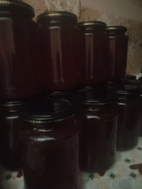 عسل النحل