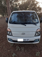 camion-hundai-h-100-2013-mostaganem-algerie