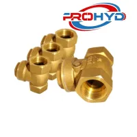 Clapet Anti Retour En Bronze