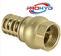 CREPINE EN BRONZE