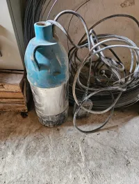 Surprise 