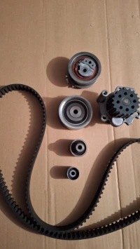 Kit chaine volskwagen 03L