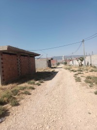 land-sell-tebessa-boulhaf-dir-algeria