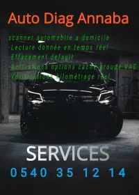 Diagnostic auto