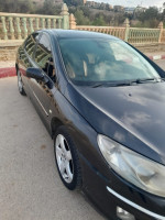 berline-peugeot-407-2005-saida-algerie