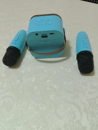   مكبر صوت بلوتوث + 2 ميكروفون لاسلكي 