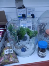 Aquarium