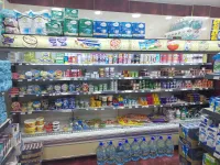 بير توتة سيدي امحمد