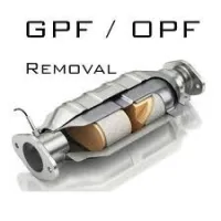 SERVICE SUPPRESSION ANTIPOLLUTION (OPF/GPF 0.9-1.0-1.2-1.3 TCE) RENAULT Master SID321(2.3DCI)