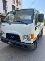 camion-hyundai-hd65-2015-tizi-ouzou-algerie