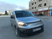 Fiat Doblo 2023 Professional Italie