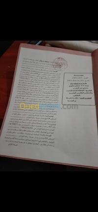 أرض-بيع-جيجل-سيدي-عبد-العزيز-الجزائر