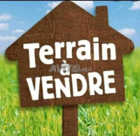 terrain-vente-tiaret-rechaiga-sebaine-algerie