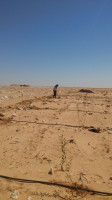 terrain-agricole-location-biskra-oumache-algerie