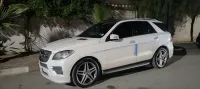 Mercedes ML 2014 ML 250 D
