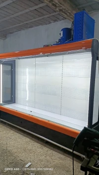 FRIGO MURALE LIBRE-SERVICE