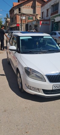 سيارات-skoda-fabia-2013-fresh-بوقرة-البليدة-الجزائر