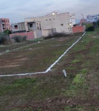 أرض-بيع-الجزائر-أولاد-الشبل
