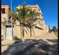 land-sell-alger-ouled-chebel-algeria