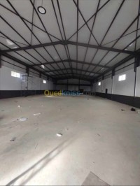 مستودع-مصنع-كراء-الجزائر-أولاد-الشبل