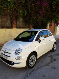 voitures-fiat-500-2024-constantine-algerie