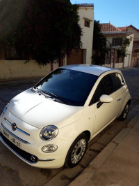 voitures-fiat-500-2024-constantine-algerie