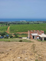 terrain-vente-boumerdes-zemmouri-algerie