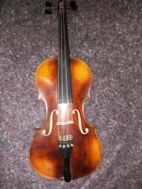 Violon