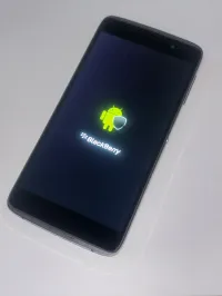 BlackBerry Dtec