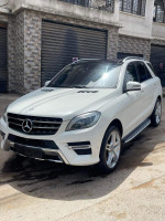 voitures-mercedes-ml-2013-250-cdi-pack-amg-alger-centre-algerie